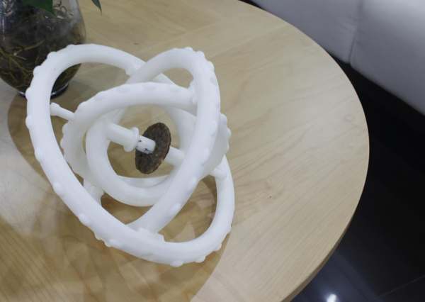 极光尔沃3D打印机应用案例分析：3D打印宠物用品