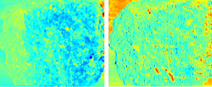 高光谱成像技术对砾岩岩石的分析处理
