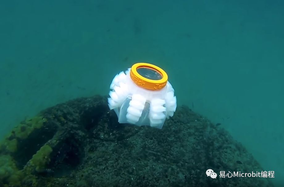 科学家开发软Q水母机器人 让这些小可爱守护珊瑚礁海域