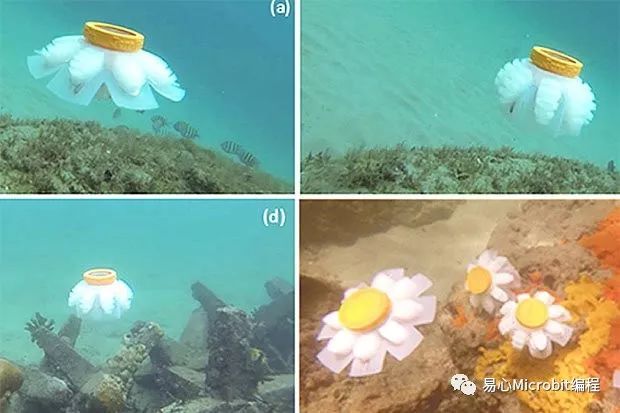 科学家开发软Q水母机器人 让这些小可爱守护珊瑚礁海域