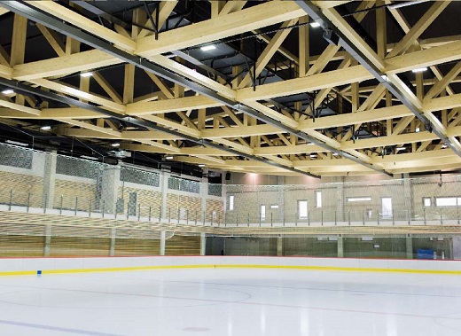 昕诺飞和国家冰球联盟宣布建立合作关系，提高北美冰球场的可持续照明使用率