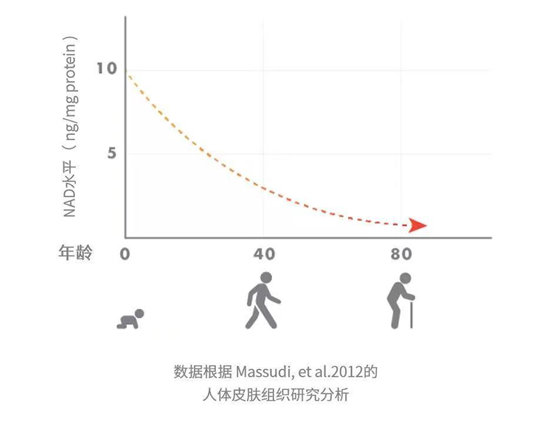 Tru Niagen樂加欣安全有效提升NAD水平，助力中国健康老龄化