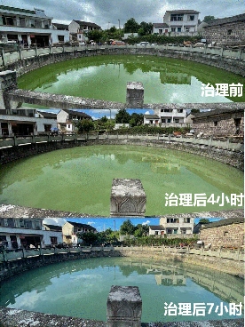 蔚绿突破性产品湖卫氧成功治理浙江余姚一处蓝藻水华